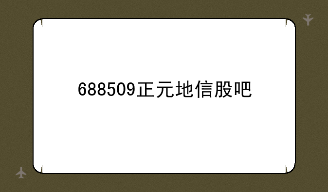 688509正元地信股吧