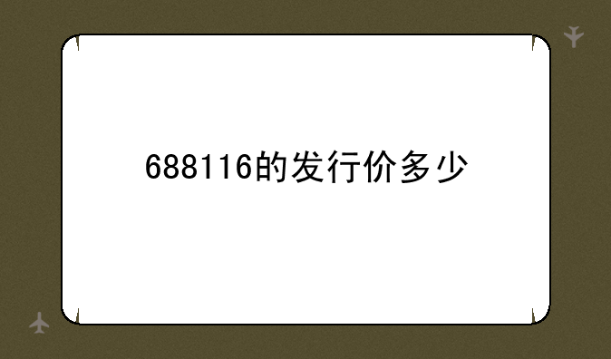 688116的发行价多少