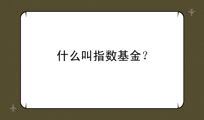 什么叫指数基金？