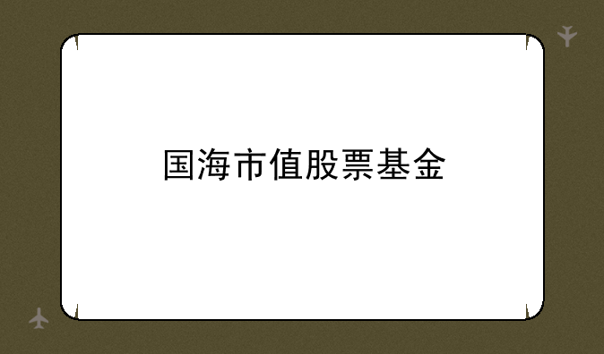 国海市值股票基金