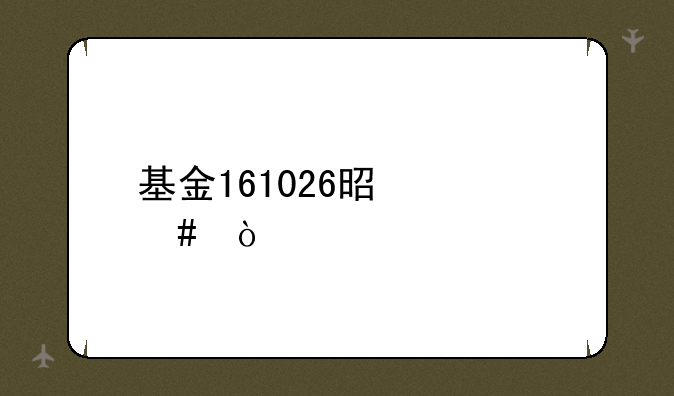 基金161026是什么？