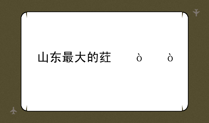 山东最大的药企？