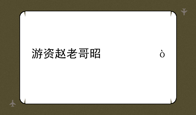 游资赵老哥是谁？