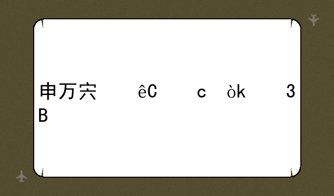 申万宏源还会跌吗