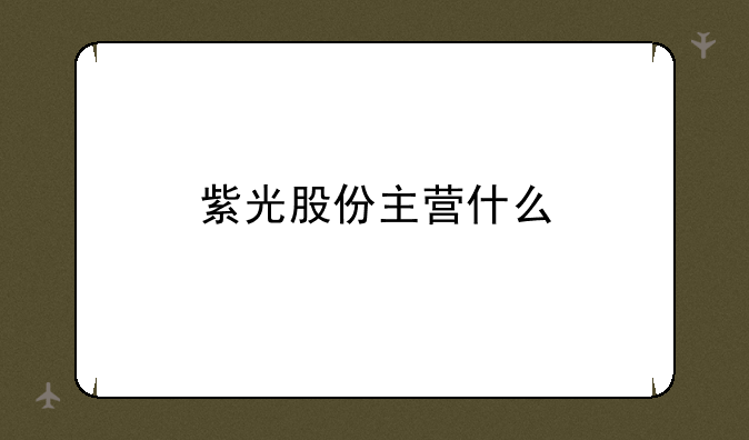 紫光股份主营什么