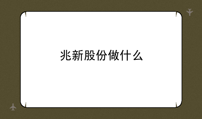 兆新股份做什么