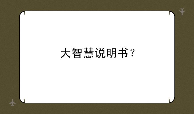 大智慧说明书？