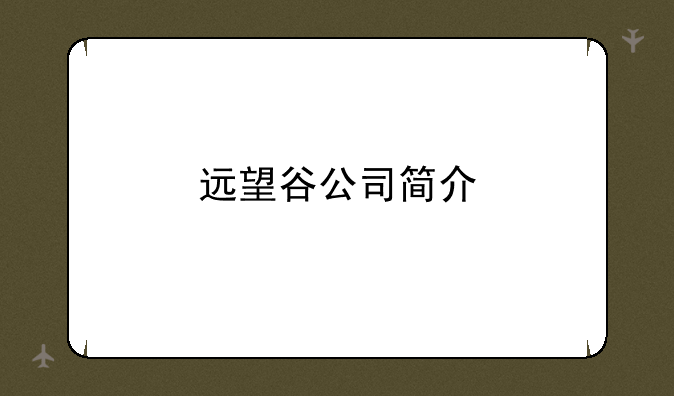 远望谷公司简介