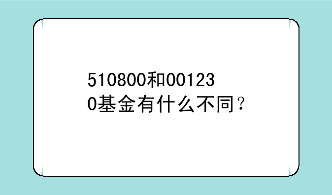 510800和001230基金有什么不同？