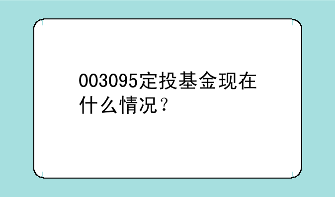 003095定投基金现在什么情况？