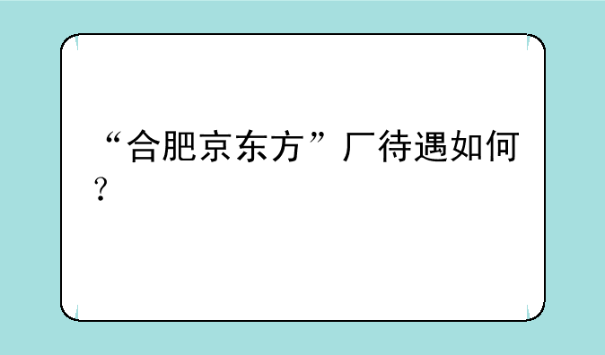 “合肥京东方”厂待遇如何？