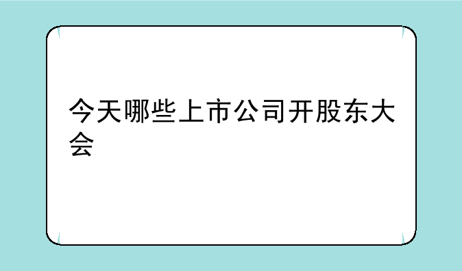 今天哪些上市公司开股东大会