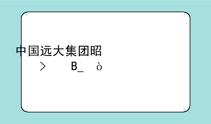 中国远大集团是上市公司吗？