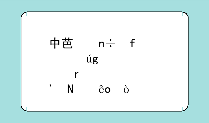 中芯国际概念龙头股有哪些？