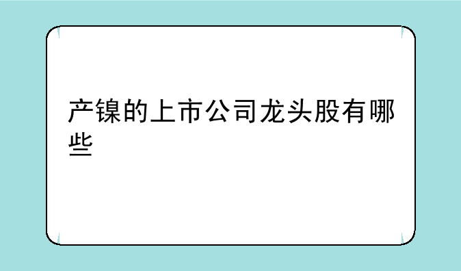 产镍的上市公司龙头股有哪些