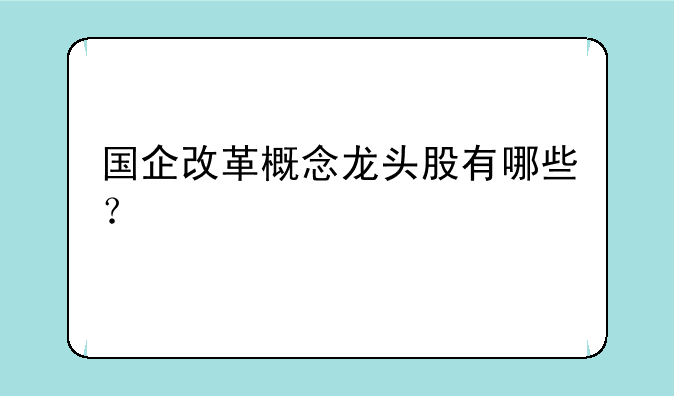 国企改革概念龙头股有哪些？