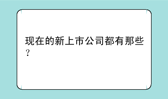 现在的新上市公司都有那些？