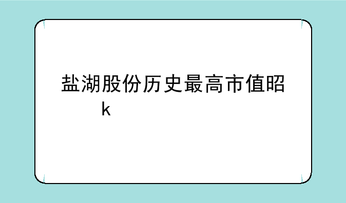 盐湖股份历史最高市值是多少