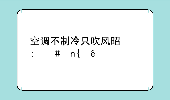 空调不制冷只吹风是怎么回事