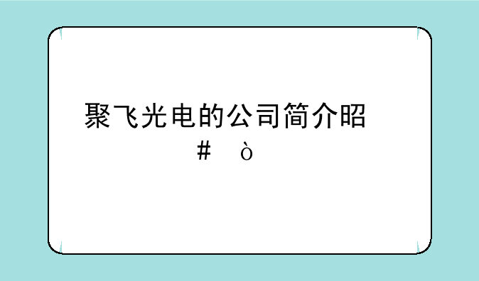 聚飞光电的公司简介是什么？