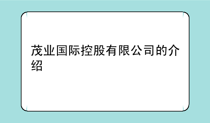 茂业国际控股有限公司的介绍