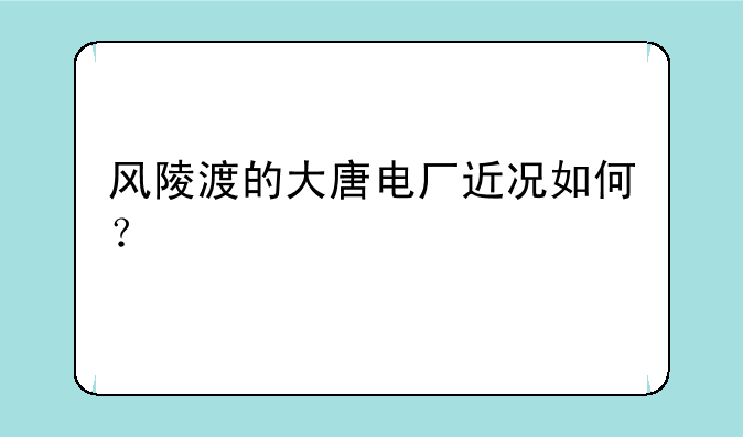 风陵渡的大唐电厂近况如何？