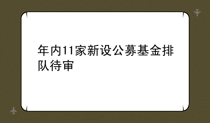 年内11家新设公募基金排队待审