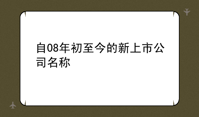 自08年初至今的新上市公司名称