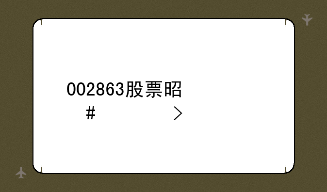 002863股票是什么公司