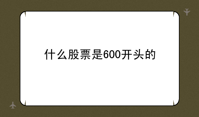 什么股票是600开头的