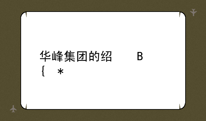 华峰集团的经营实力