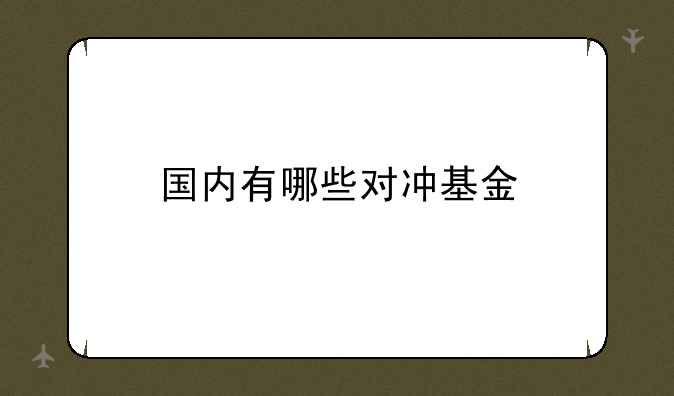 国内有哪些对冲基金