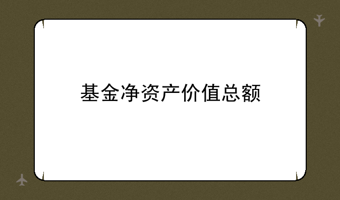 基金净资产价值总额