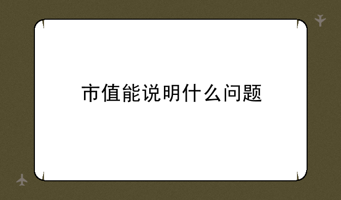 市值能说明什么问题