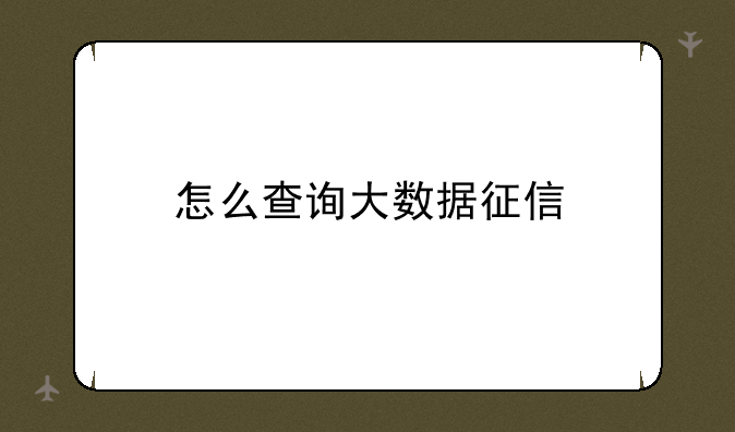 怎么查询大数据征信