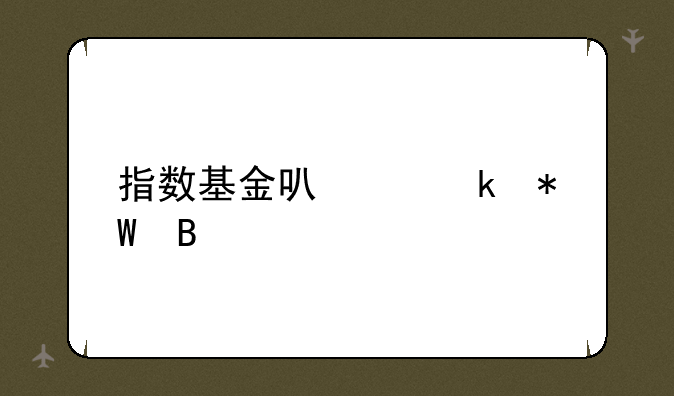 指数基金可以定投吗