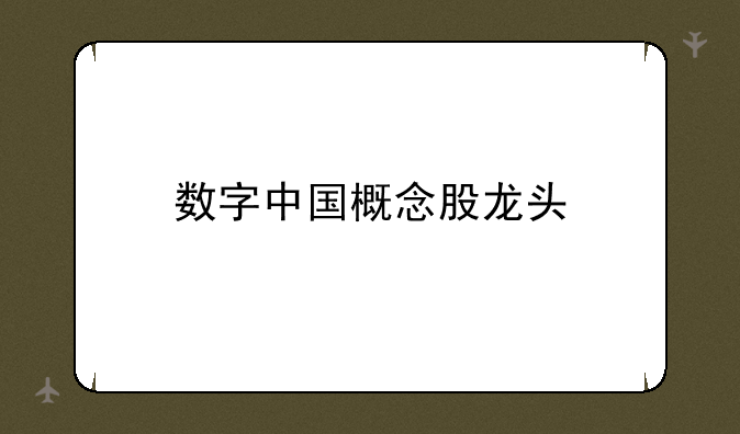 数字中国概念股龙头