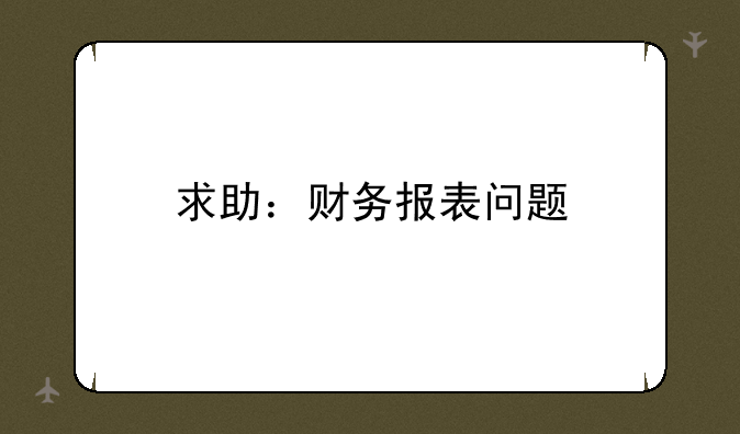 求助：财务报表问题