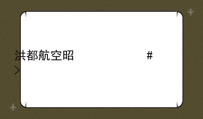 洪都航空是什么公司