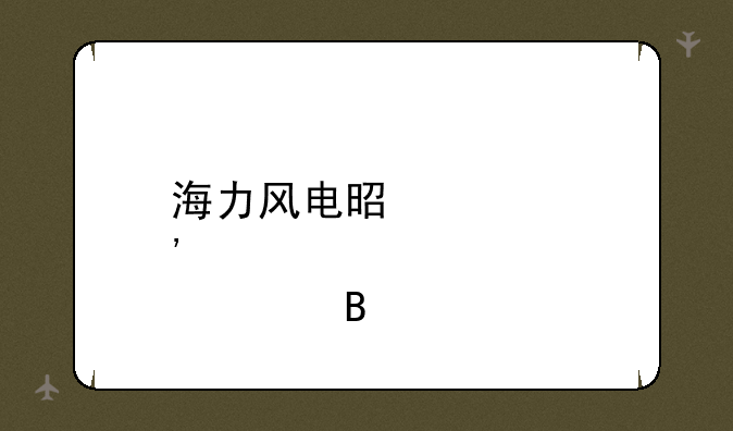 海力风电是大肉签吗