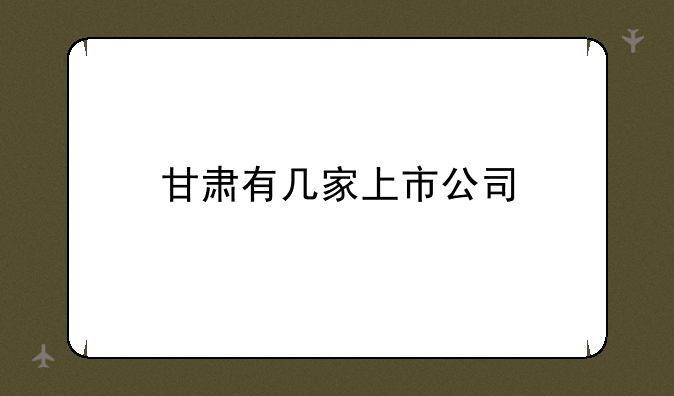 甘肃有几家上市公司