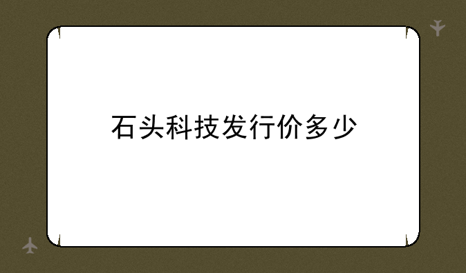 石头科技发行价多少