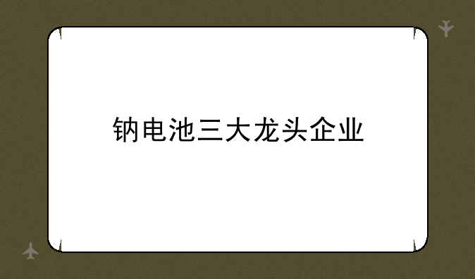 钠电池三大龙头企业