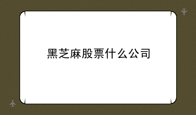 黑芝麻股票什么公司