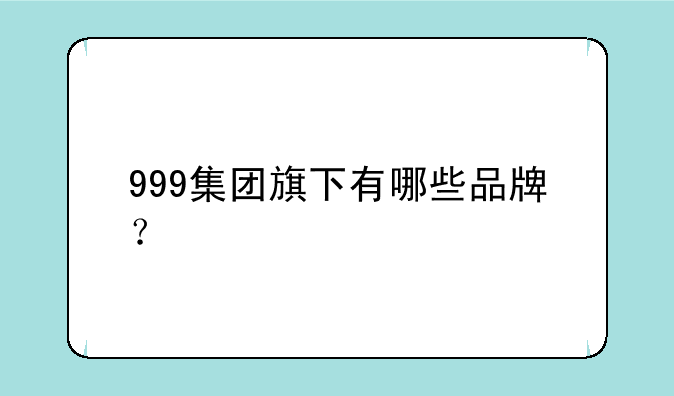 999集团旗下有哪些品牌？