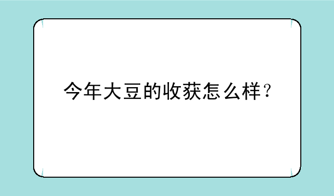 今年大豆的收获怎么样？