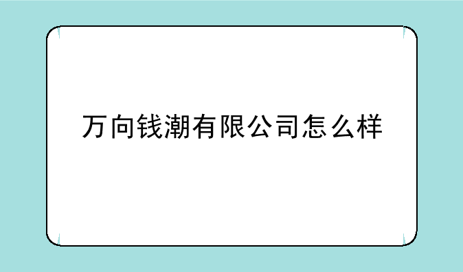 万向钱潮有限公司怎么样