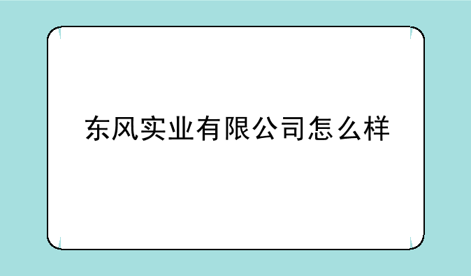 东风实业有限公司怎么样