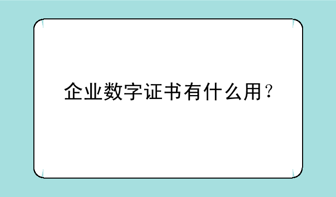 企业数字证书有什么用？