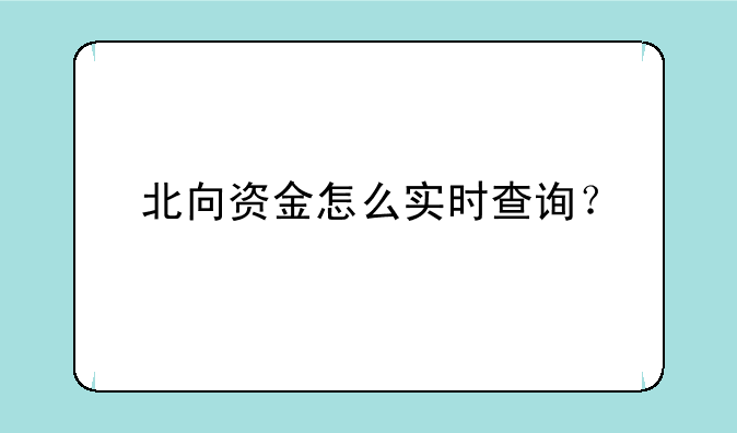 北向资金怎么实时查询？